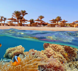 THY ile İstanbul'dan Sharm El Sheikh Turu 3 Gece